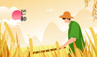 芒种养生六字诀（芒种经络养生）