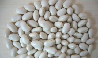 白芸豆怎么吃减肥最佳 白芸豆怎么吃可以减肥