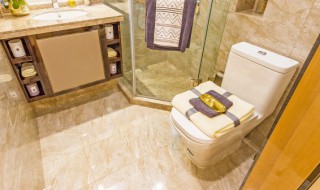 上厕所蹲着好还是坐着 上厕所蹲好还是坐着好