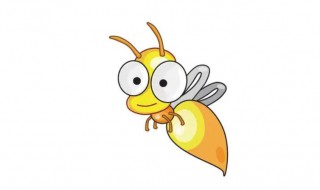 世界上最大的动物类群是什么动物(世界上最大的动物类群是啥)