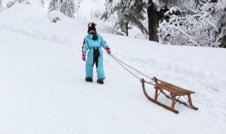 滑雪板上固定器的别称是什么（滑雪固定器有什么区别）