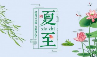 夏至是24节气的第几个节气（夏至是24节气的第几个节气?）