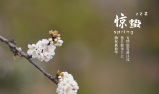 什么是节气（节气门传感器）