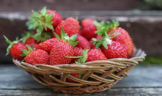 在室内养草莓盆栽好吗 草莓适合在室内养吗