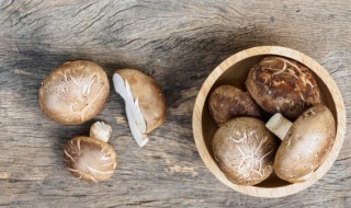 干香菇如何长时间的保存 干香菇可以保存多久