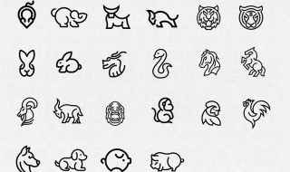 一往情深指什么生肖（一往情深的生肖?）