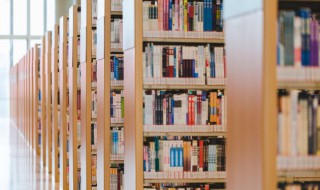 新乐府运动特点 新乐府运动意义