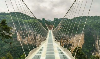 世界上最大的吊桥是哪一个（世界第一吊桥是哪里）