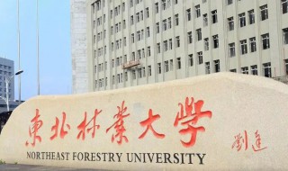 东北林业大学地址在哪里（东北林业大学学校地址）