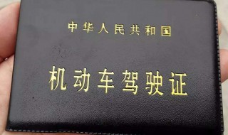 怎么可以查驾驶证的分（怎样能查出驾驶证的分）