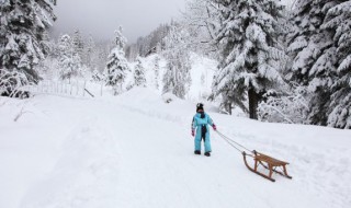 用盐化雪的原理是 解释撒盐化雪的原理