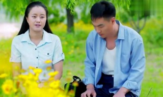 兰桐花开万贤说下雨第几集（兰桐花开第几集下大雨）