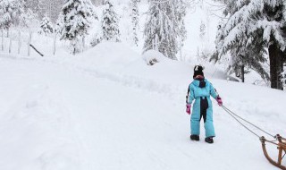 东北雪乡旅游攻略 去东北雪乡攻略