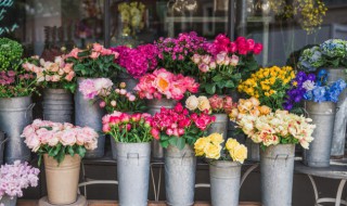 花店的花为什么那么香（花店里的花为什么长得都这么好呢）