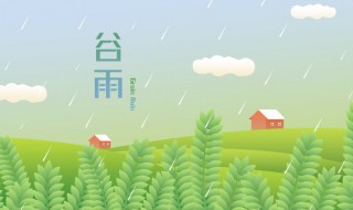 谷雨可以干什么（谷雨这天要干什么）