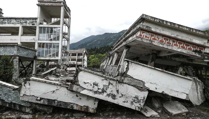 地震波是横波还是纵波