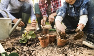 模拟人生4怎么种植物（模拟人生4怎么种植）