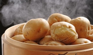 马铃薯怎么种植 马铃薯怎么种植最好