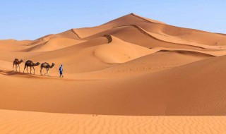 沙漠为什么白天热晚上冷 夏天的沙漠晚上冷吗