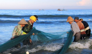 为什么夏天池塘里的鱼儿爱浮头 为什么夏天池塘里的鱼儿爱浮头浮尾