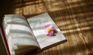 脆皮鸭文学是什么 脆皮鸭文学是什么意思