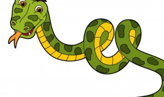 蛇为什么能吞下很大的动物 蛇能吞掉的最大的动物