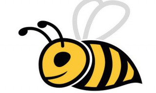 土蜂的养殖方法 土蜂养殖技术指导