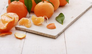 橘子子怎么做盆栽花卉 橘子籽自制小盆栽植物