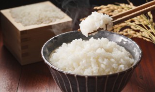 微波炉怎么做米饭（微波炉怎么做米饭好吃）