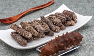 盐渍海参的发泡方法（盐干海参如何泡发处理方法）