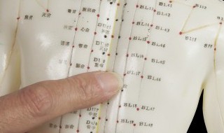 三伏贴贴哪里 湿气重三伏贴贴哪里