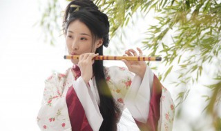 中国民族乐器竹笛分为哪两大类（中国民族乐器竹笛分为哪两大类型）