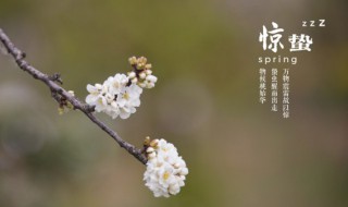 月色反映的是哪个节节气（月色 节气）