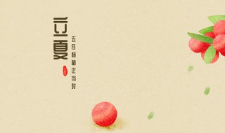 立夏后能种麦子吗（什么时候可以种麦子）