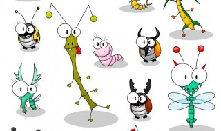 家里有衣鱼虫怎么去除 家里有衣鱼虫怎么才能自然消失