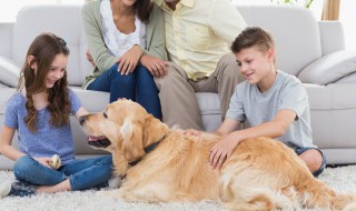 孩子情绪控制能力差怎么办（小孩子情绪控制能力差）