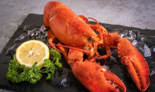 活的大龙虾怎么保存(活的大龙虾怎么保存,可以放多久)