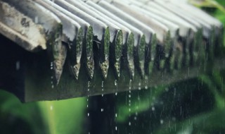 雨季如何防止衣物发霉 雨衣发霉怎么处理