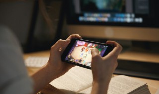 口袋妖怪什么鸟比较好? 口袋妖怪天然鸟厉害吗