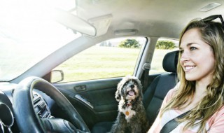 汽车防盗器触发怎样辨别 防盗器触发怎么判断