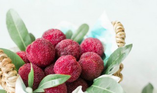 如何经营好蔬菜水果摊位(蔬菜水果店经营技巧)