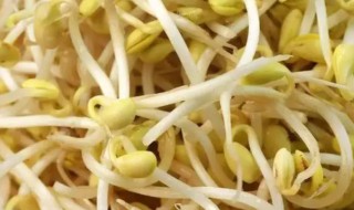 如何防止芽苗菜发霉（菜苗发霉怎么回事）