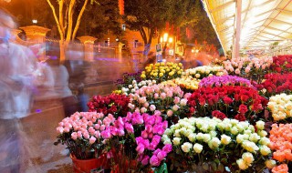 刚栽到花盆里的花浇水不（花刚栽上要浇水吗）