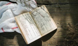 历史上是否真有芈月其人（芈月是历史上的什么人）