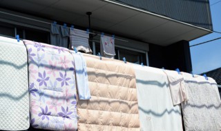 乳胶凉席为什么一洗就那么多泡沫 乳胶凉席为什么一洗就那么多泡沫水