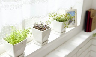 浇花水怎样去除水碱 浇花水如何去除碱性