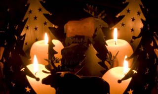 石蜡是什么材料做的（石蜡是什么材料做成的）