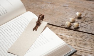 次北固山下是什么体裁的诗(次北固山下是什么体裁的诗歌)