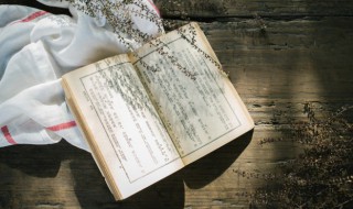 瓠瓜怎么读（瓠瓜怎么读什么意思）