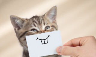 幽默小故事大道理爆笑（幽默小故事大道理爆笑200字）